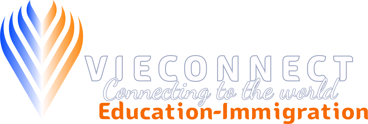 Vieconnect Consulting